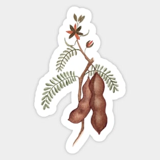 Grind Tamarind Sticker